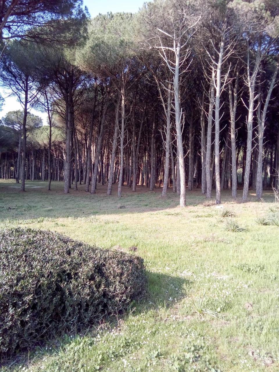 Hotel Grazia Έμπολι Εξωτερικό φωτογραφία
